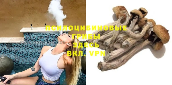 первитин Белокуриха